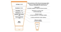 TYPICAL COMPONENTS OF A SUNSCREEN FORMULATION WITH SPF 30.