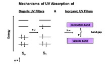 Mechanisms of UV Absorption for organic and inorganic UV filters