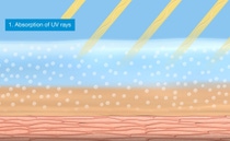 Absorption is the key factor.