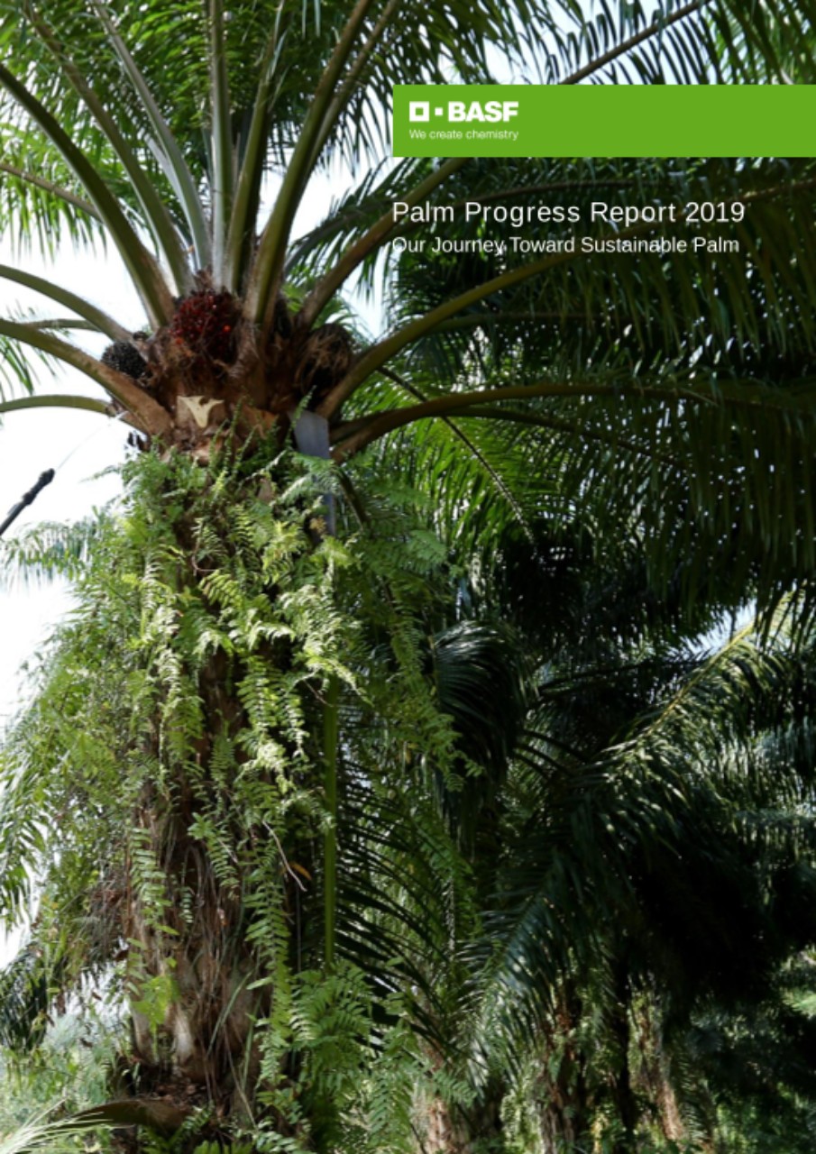 2019 Palm Progress Report